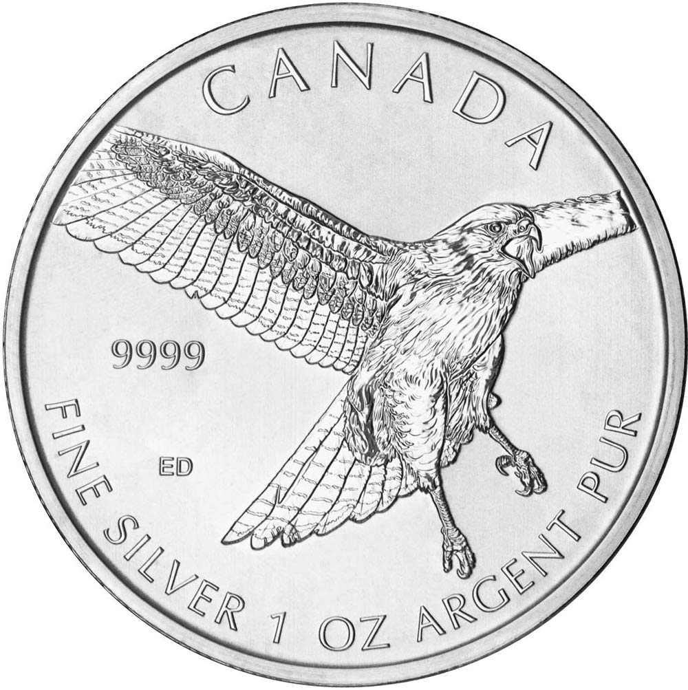 Buy Birds of Prey Series - Silver Red-Tailed Hawk