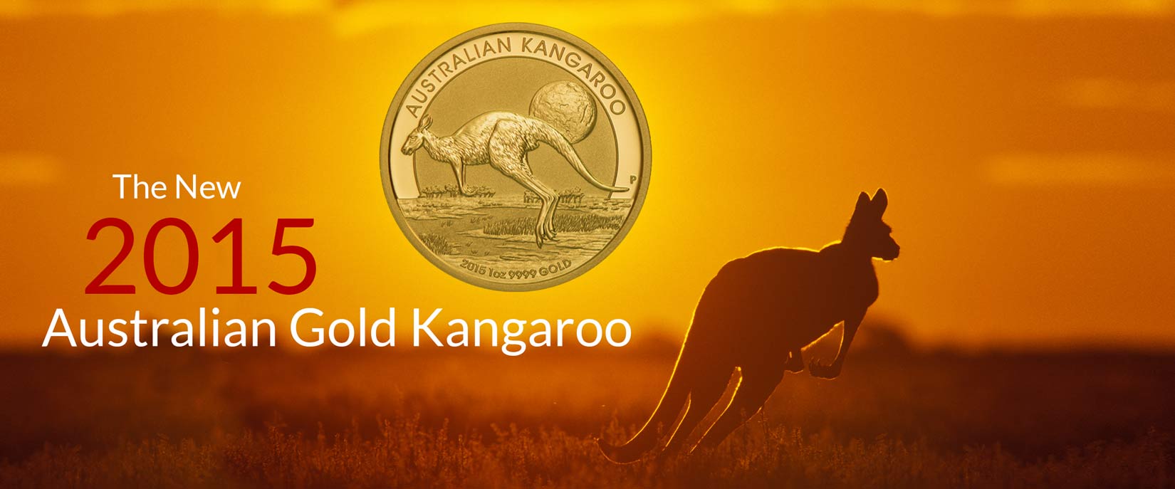 The New 2015 Gold Kangaroo is here!